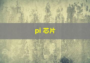 pi 芯片